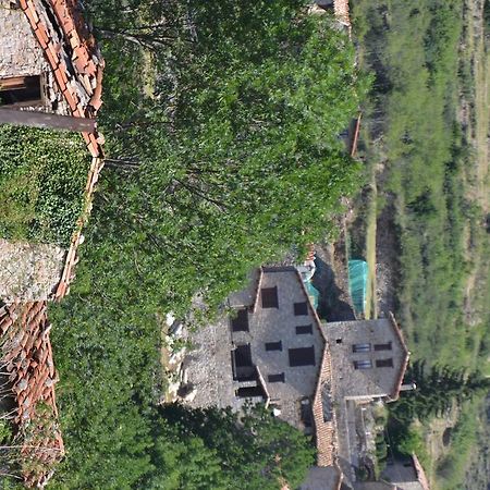 Hostal La Muntanya Castellar De N'Hug Buitenkant foto